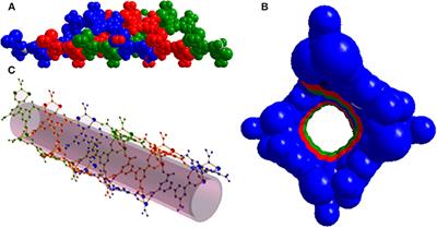 Anisotropic Thermal Expansion in an Anionic Framework Showing Guest-Dependent Phases